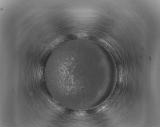 X0000088030618200705182027