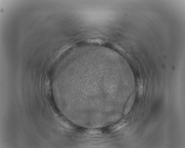 X0000088030619200705182027