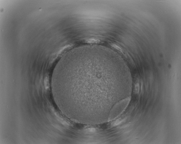 X0000088030620200705182027