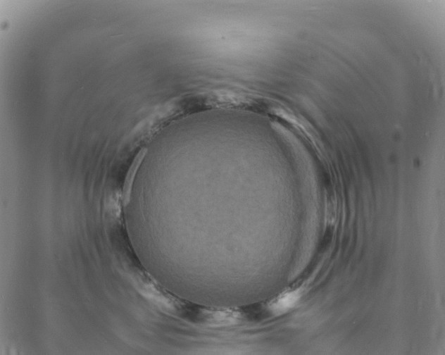 X0000088030621200705182027