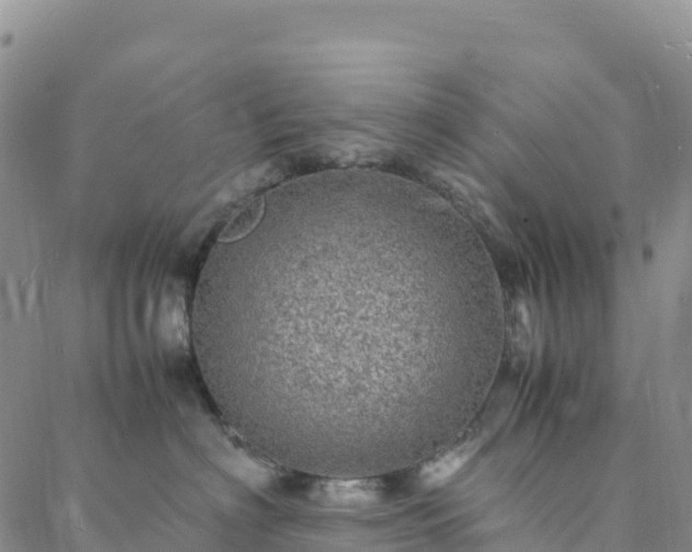 X0000088030622200705182027