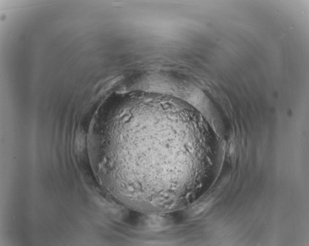 X0000088030623200705182027