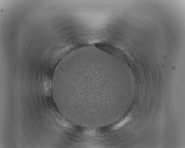 X0000088030624200705182027