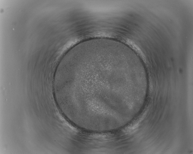 X0000088030625200705182026