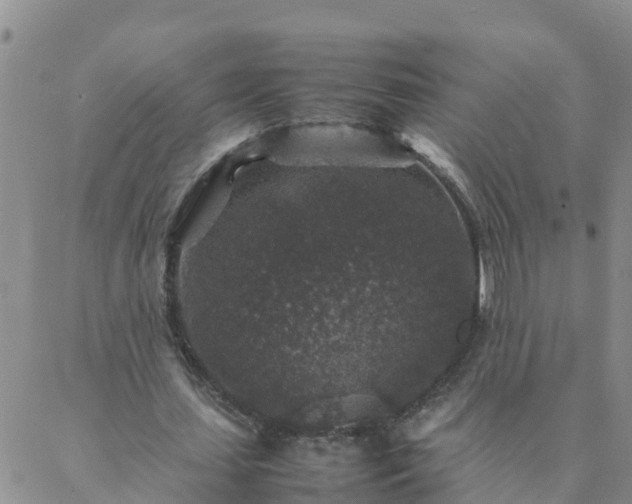 X0000088030627200705182026