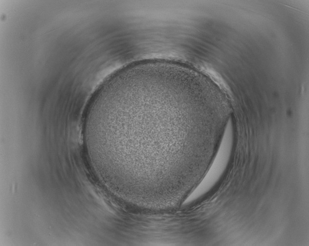 X0000088030628200705182026