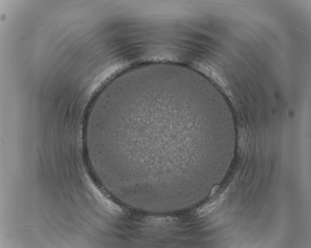 X0000088030629200705182026