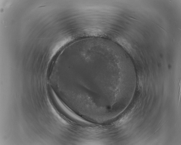 X0000088030630200705182026