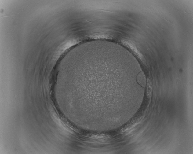 X0000088030631200705182026