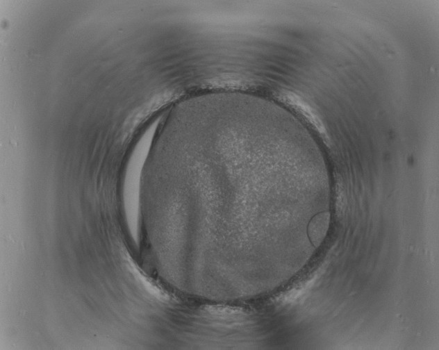 X0000088030633200705182026