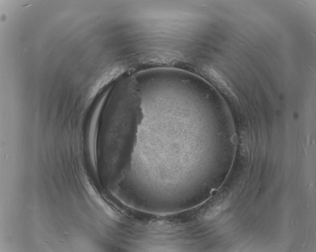 X0000088030634200705182026