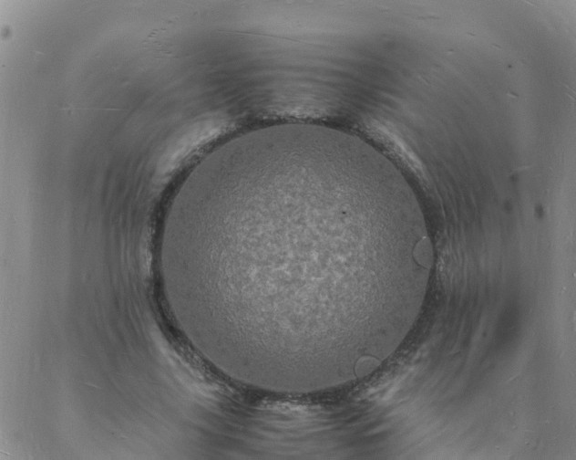 X0000088030635200705182026