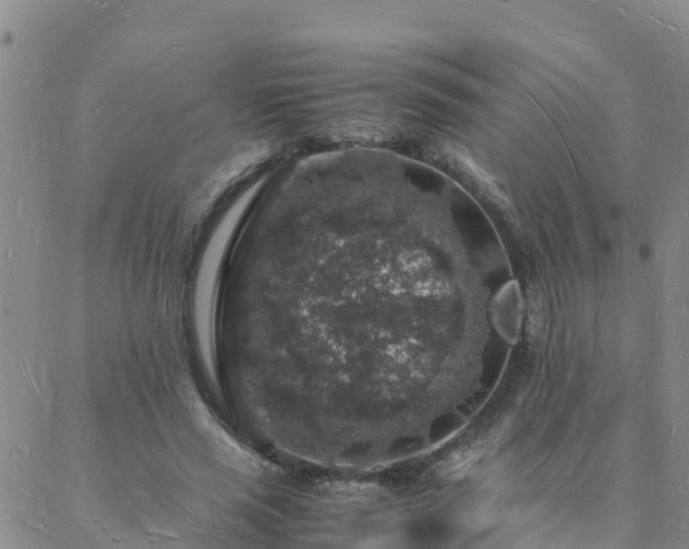 X0000088030637200705182026