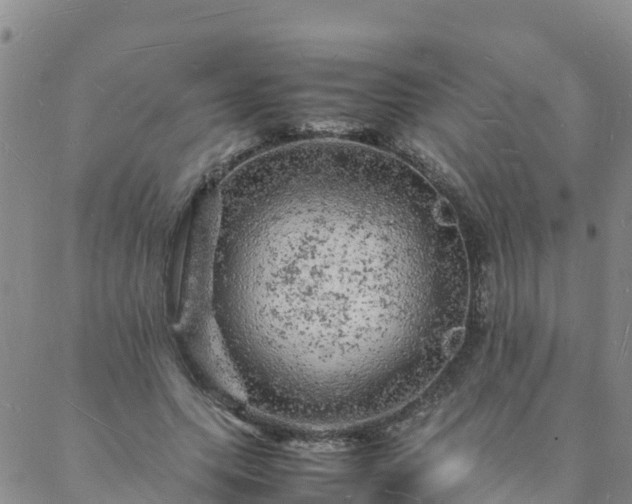 X0000088030639200705182026