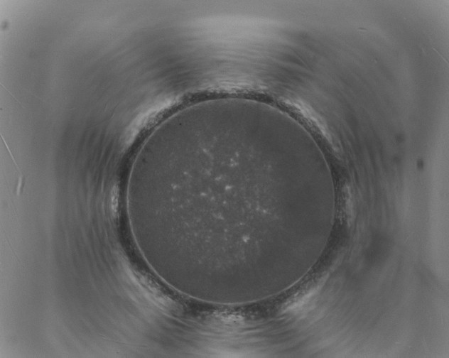 X0000088030640200705182026