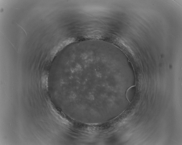 X0000088030641200705182026