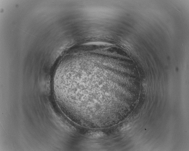 X0000088030642200705182026