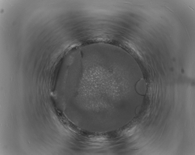 X0000088030643200705182026