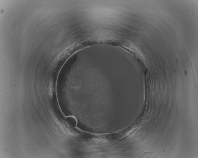 X0000088030644200705182026