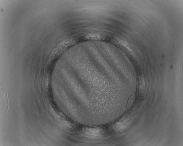 X0000088030645200705182026