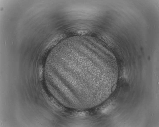 X0000088030646200705182026