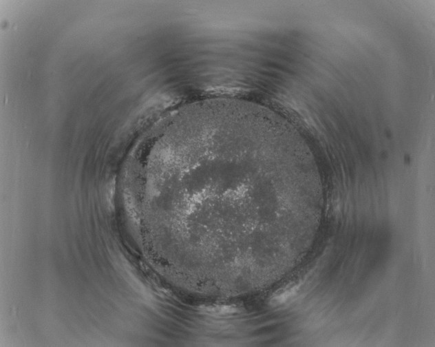 X0000088030647200705182026