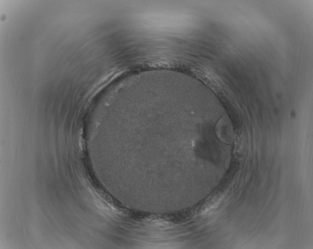 X0000088030648200705182026