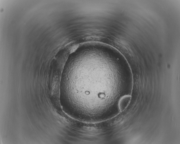 X0000088030649200705182026