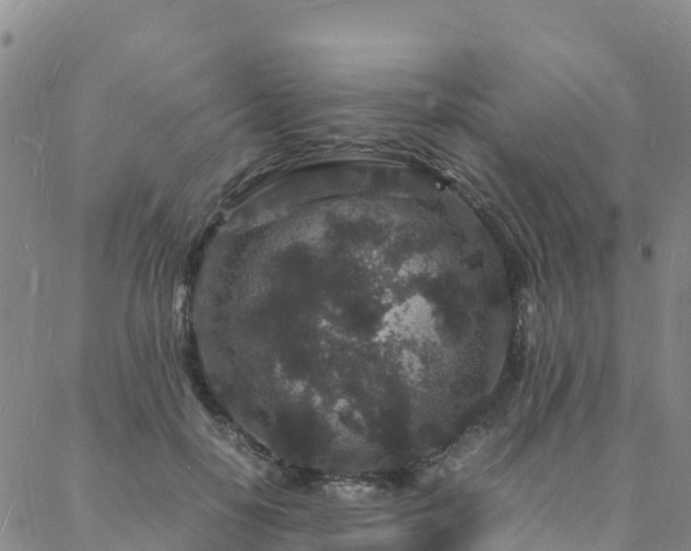 X0000088030650200705182026