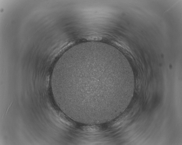 X0000088030652200705182026