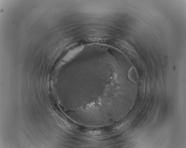 X0000088030653200705182026