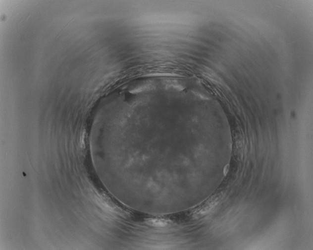 X0000088030654200705182026