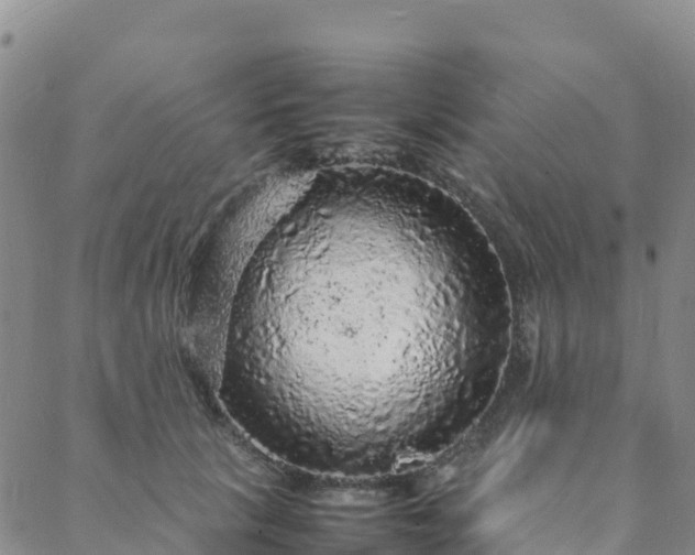 X0000088030657200705182027