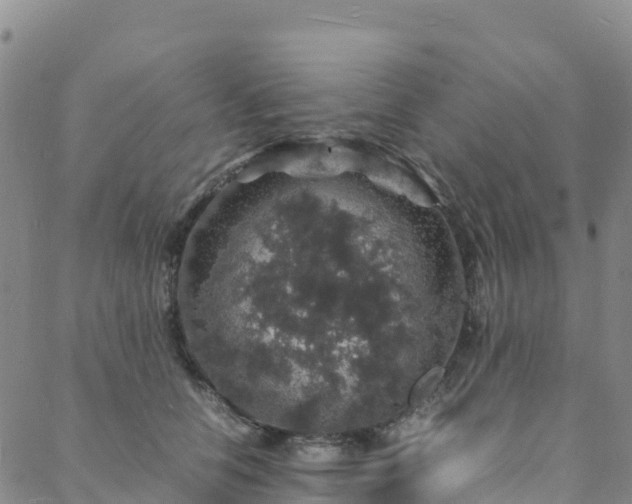 X0000088030658200705182027