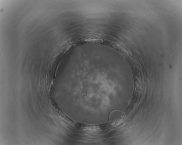 X0000088030659200705182027