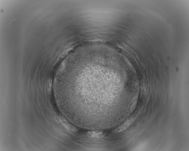 X0000088030660200705182027