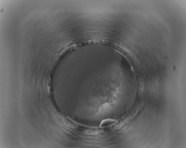 X0000088030661200705182027