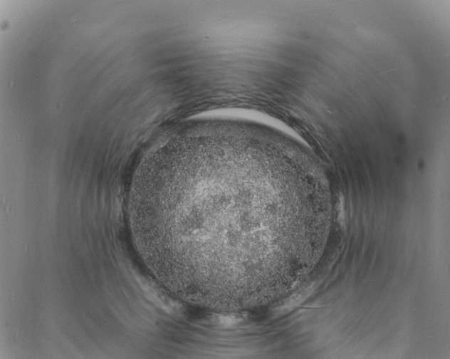 X0000088030662200705182027