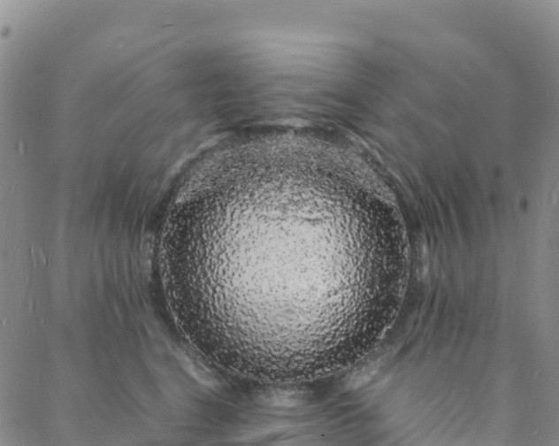 X0000088030664200705182027