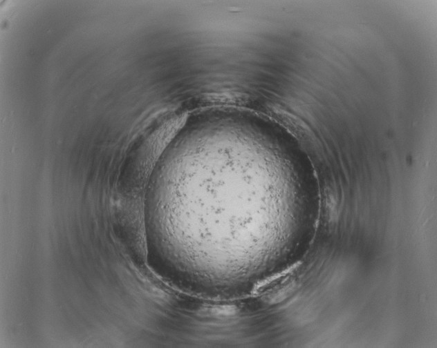 X0000088030665200705182027