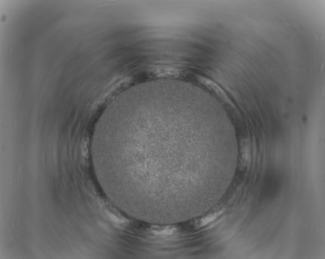 X0000088030667200705182027