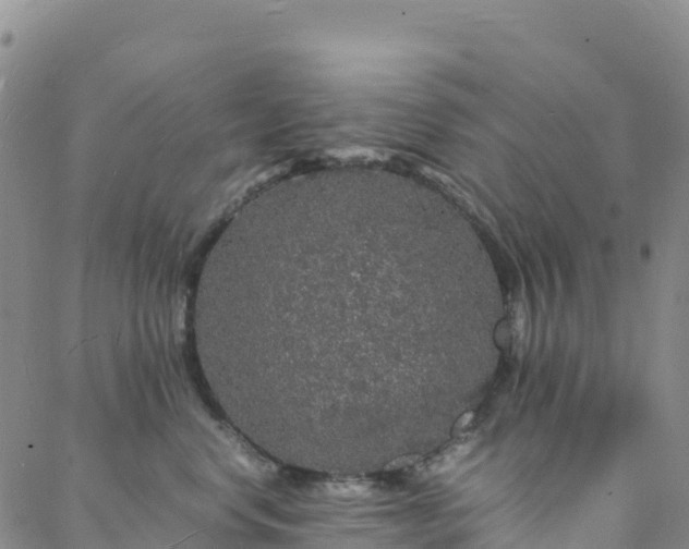 X0000088030668200705182027