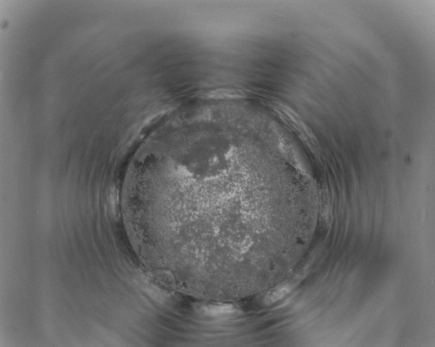 X0000088030669200705182027