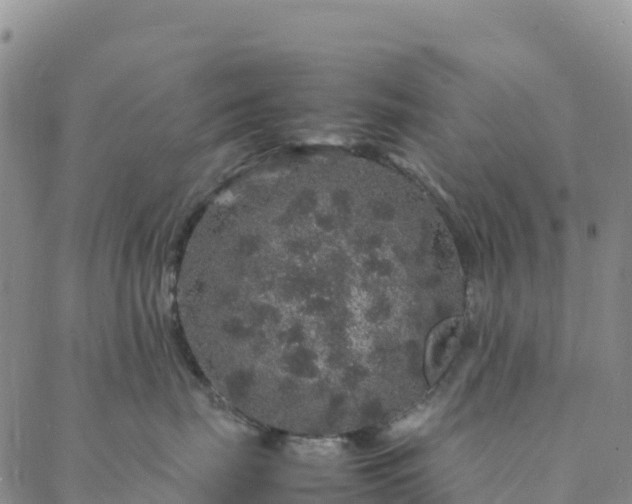 X0000088030671200705182027