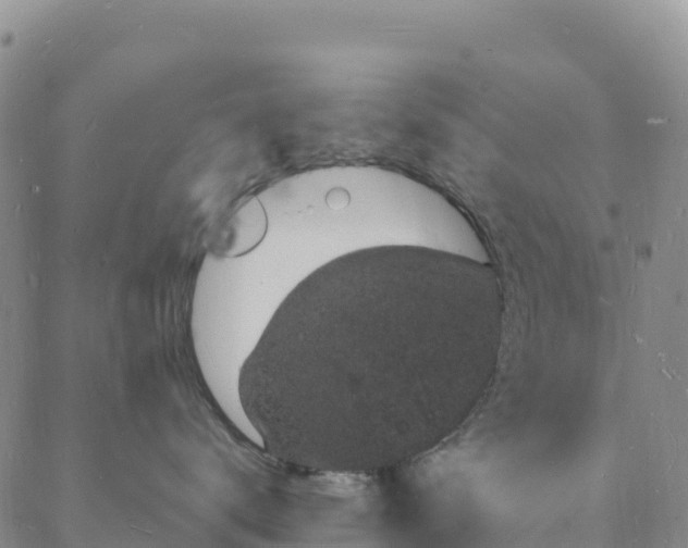 X0000088030672200705182027