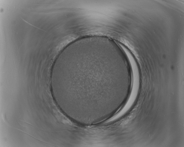 X0000088030673200705182026