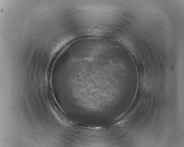 X0000088030674200705182026