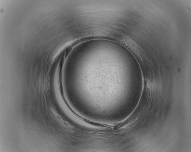 X0000088030676200705182026