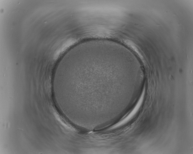 X0000088030677200705182026