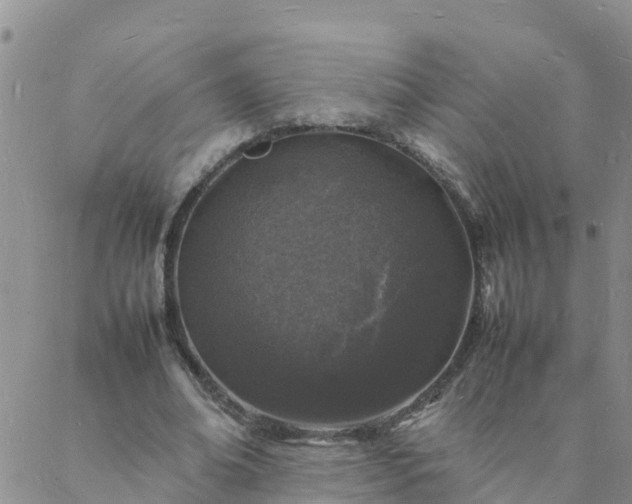 X0000088030678200705182026